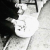 lyon19