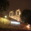 boeuf-sur-la-langue_SURFEMME