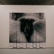 260226_Orlan-12
