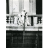 grassibalcon9