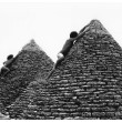 IMG_0006