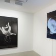 ORLAN_expogmr2014_08n