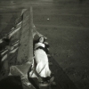 liege02