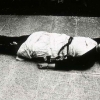 lyon11