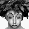 African Self-Hybridization / Self-hybridation africaine