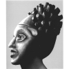 African Self-Hybridization / Self-hybridation africaine