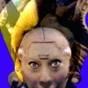 Disfiguration-Refiguration, Pre-Columbian Self-Hybridization / Défiguration-refiguration, Self-hybridation précolombienne