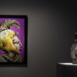 Vue d'exposition 2