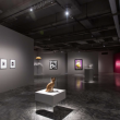 Vue d'exposition 5