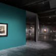 Vue d'exposition 8